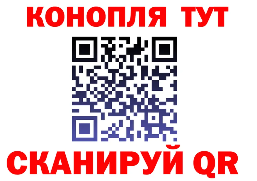 АМФ Premium ONION это гидра Мураши